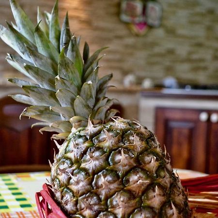 Villa Rosa - Ai Piedi Dell'Etna ブルコリ エクステリア 写真